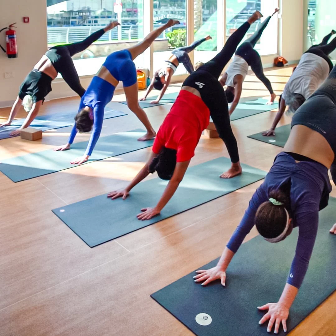 Group practicing Vinyasa Flow